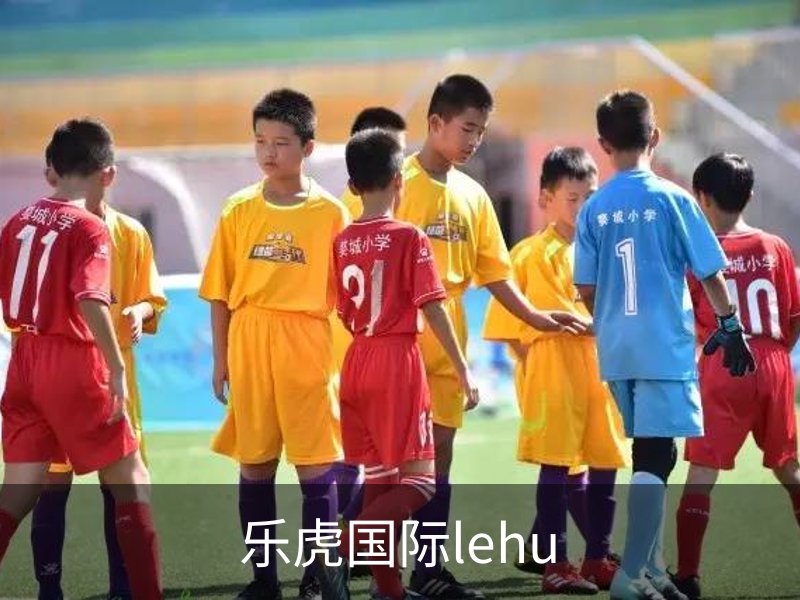 乐虎国际lehu介绍